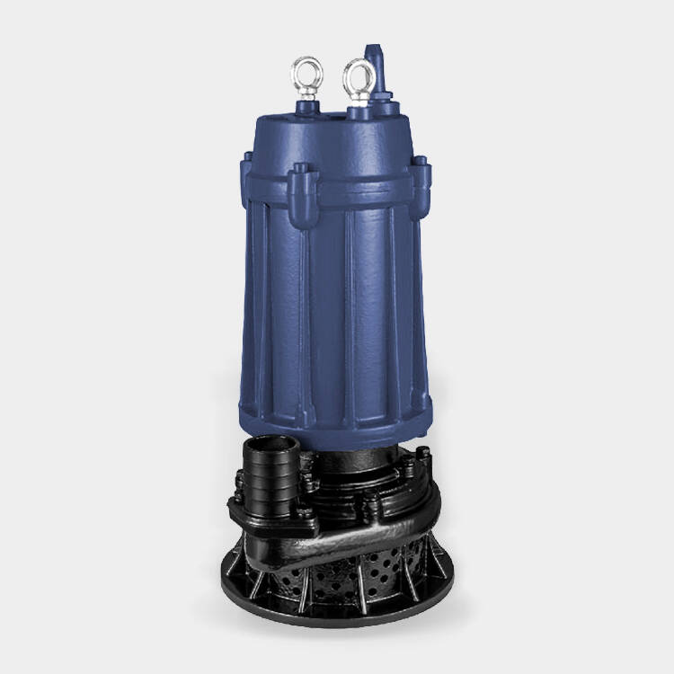 WQG系列高扬程污水污物工程泵